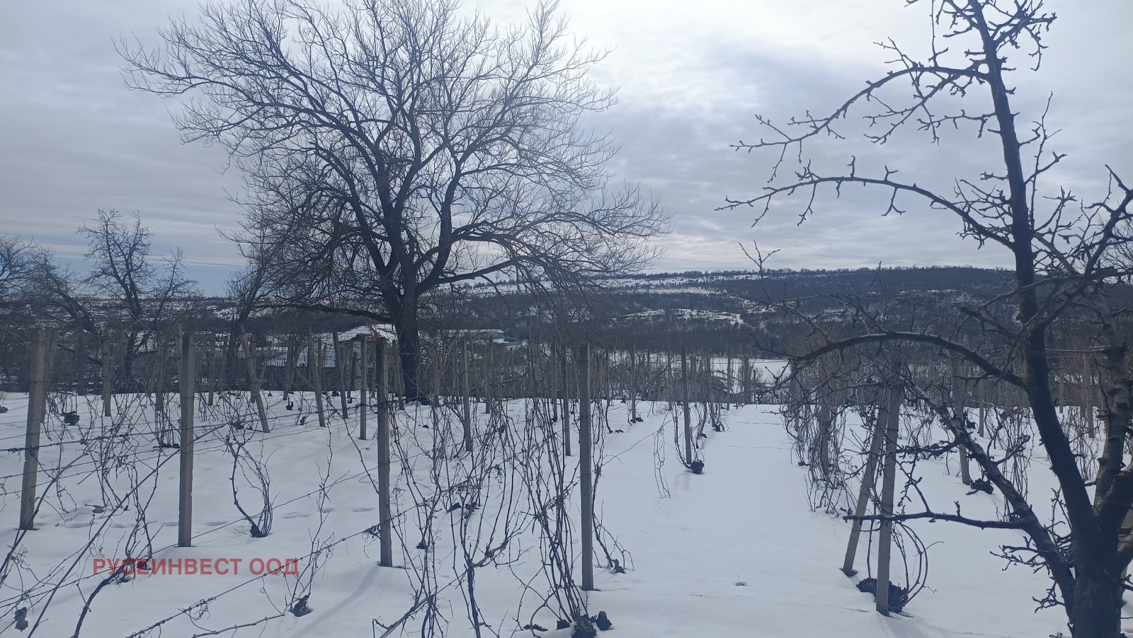 ������� ������ | Imot.bg � ����������� 3