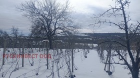 ������� ������ | Imot.bg � ����� ������ 3