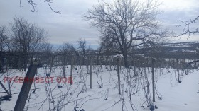 ������� ������ | Imot.bg � ����� ������ 2