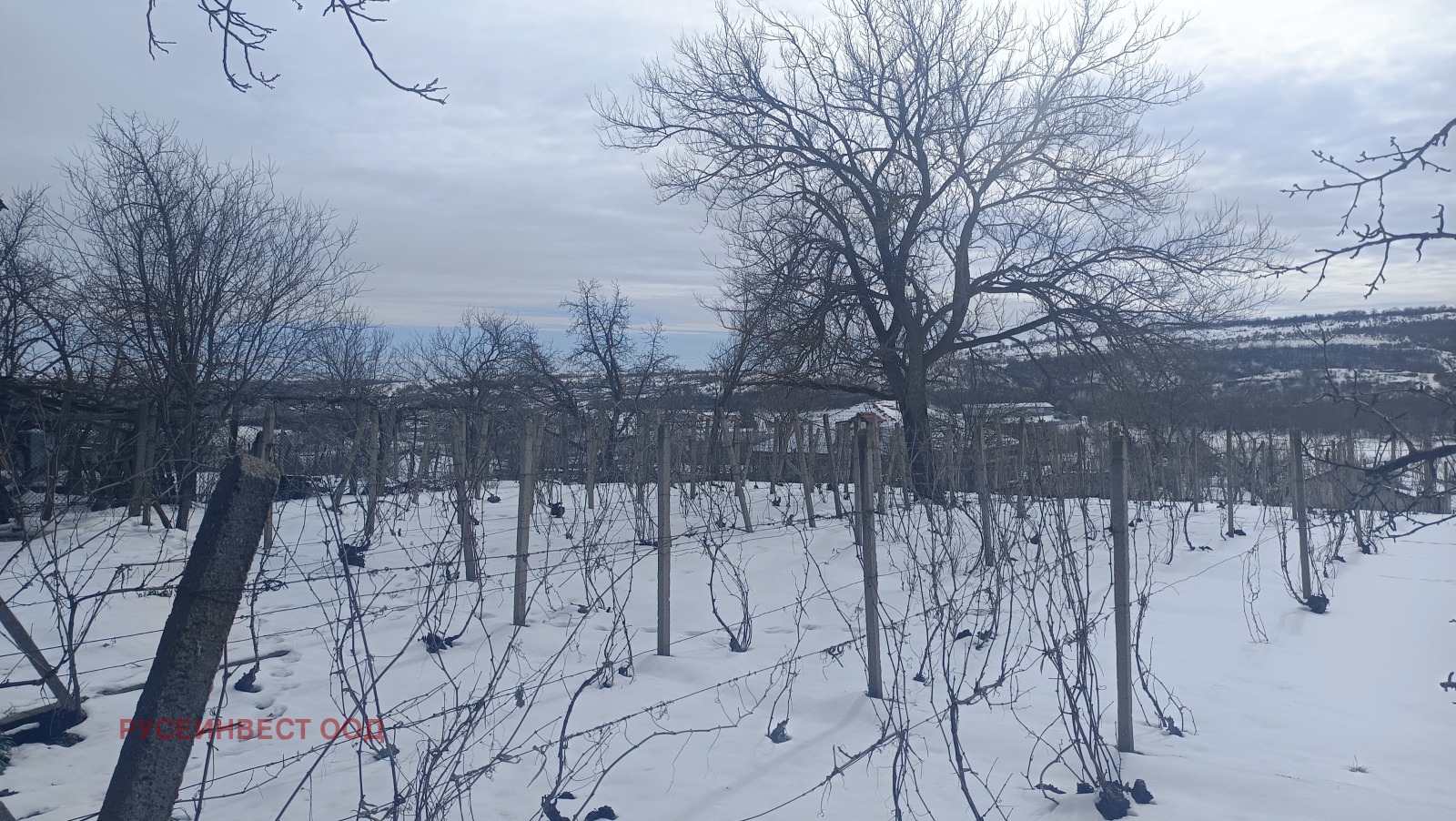 Продава ПАРЦЕЛ, гр. Русе, Басарбово, снимка 2 - Парцели - 53615493