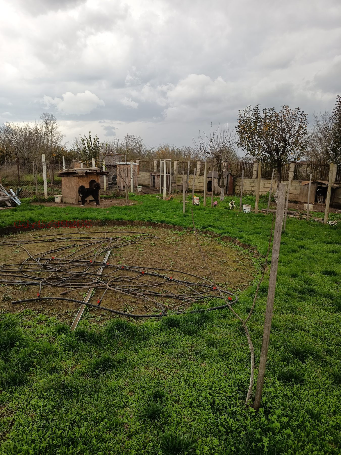 ������� ���� | Imot.bg � ����������� 12