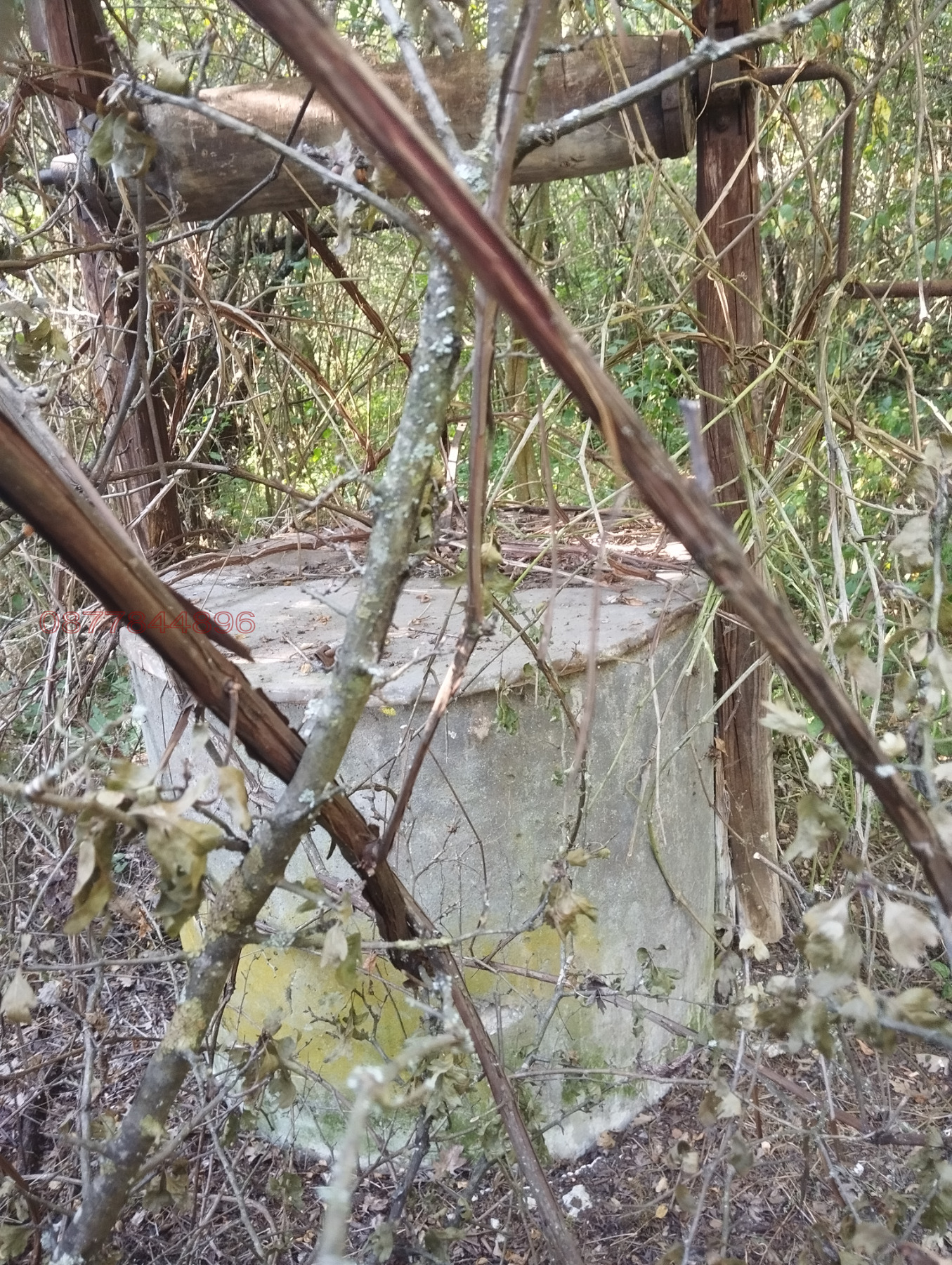 ������� ���� | Imot.bg � ����������� 9