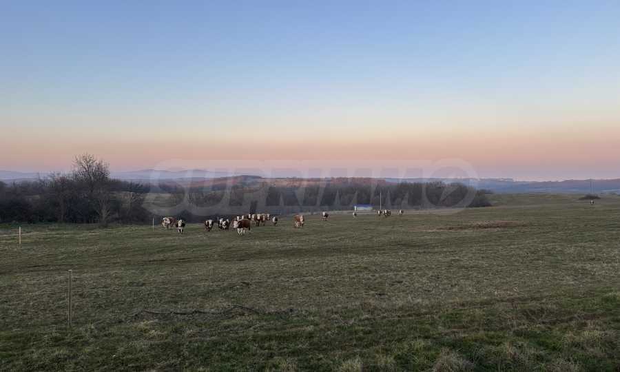 Продава ПАРЦЕЛ | Imot.bg — изображение 5