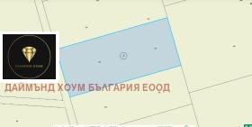 ����� ������� ������,���� �������, ������������ ���� - �����