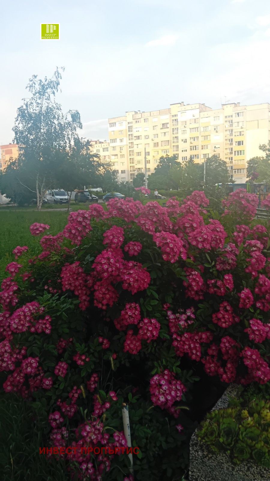 ������� 4-����� | Imot.bg � ����������� 12
