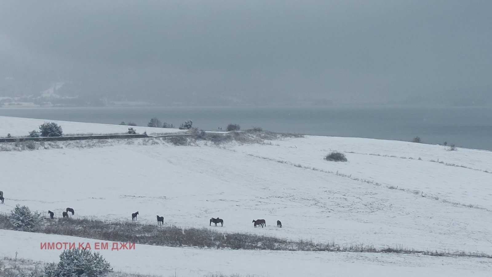 ������� ���������� ���� | Imot.bg � ����������� 3