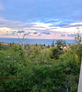 For Sale Studio