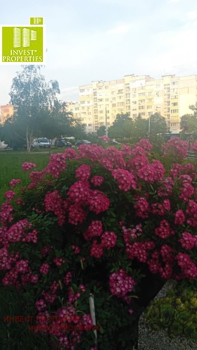 ������� 4-����� | Imot.bg � ����� ������ 12