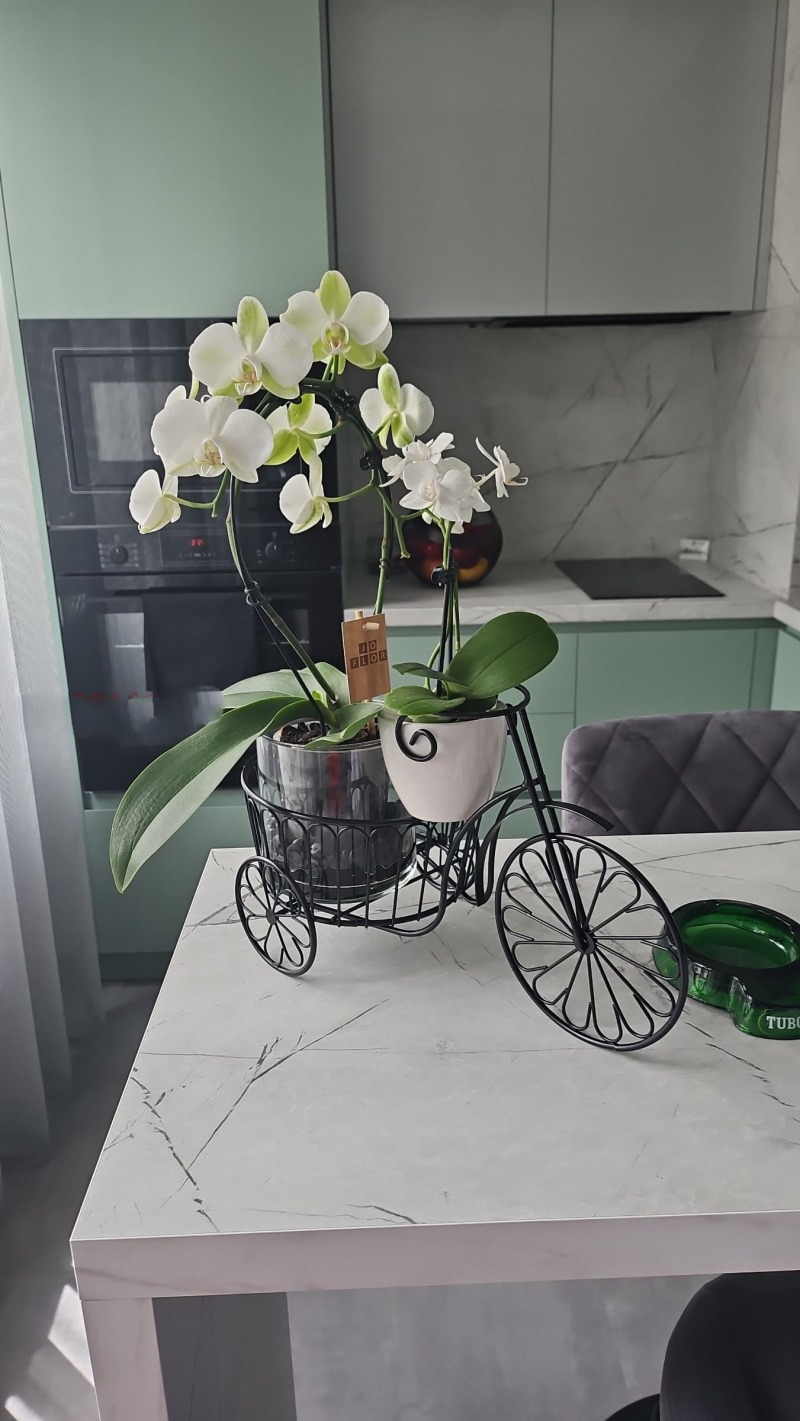 Zu verkaufen  1 Schlafzimmer Sofia , Dianabad , 50 qm | 47614827 - Bild [11]
