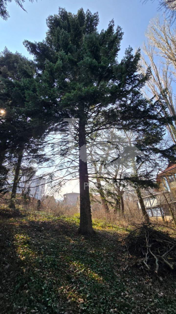 Продава ПАРЦЕЛ, гр. София, Симеоново, снимка 7 - Парцели - 53809715