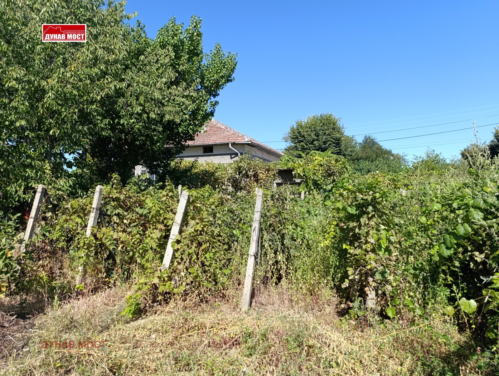 ������� ���� | Imot.bg � ����������� 6