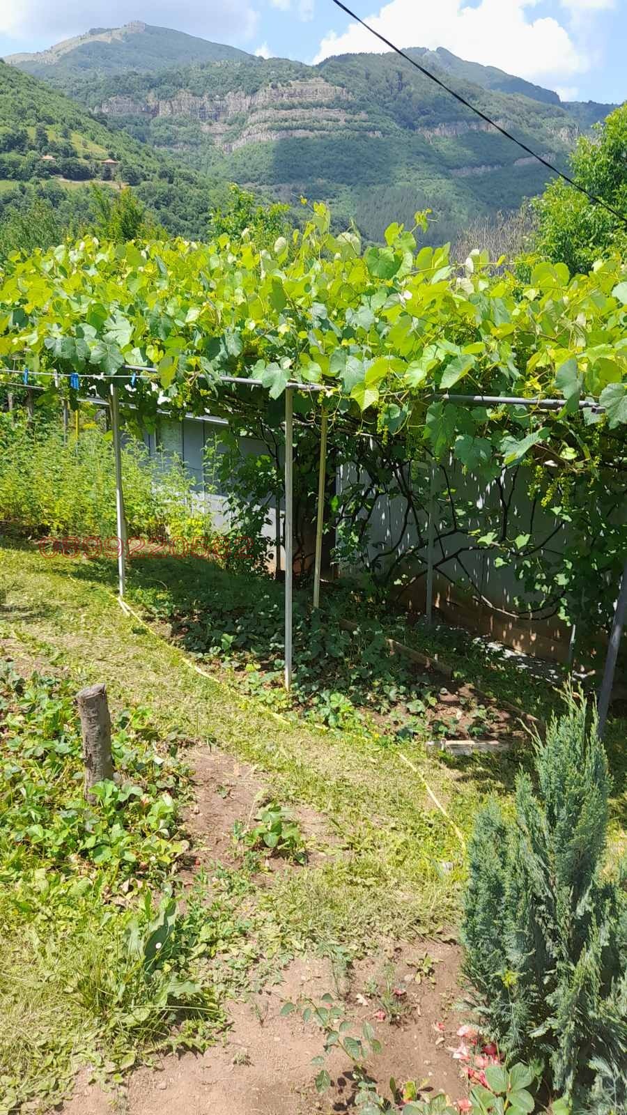 ������� ���� | Imot.bg � ����������� 6