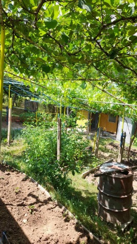 ������� ���� | Imot.bg � ����� ������ 2