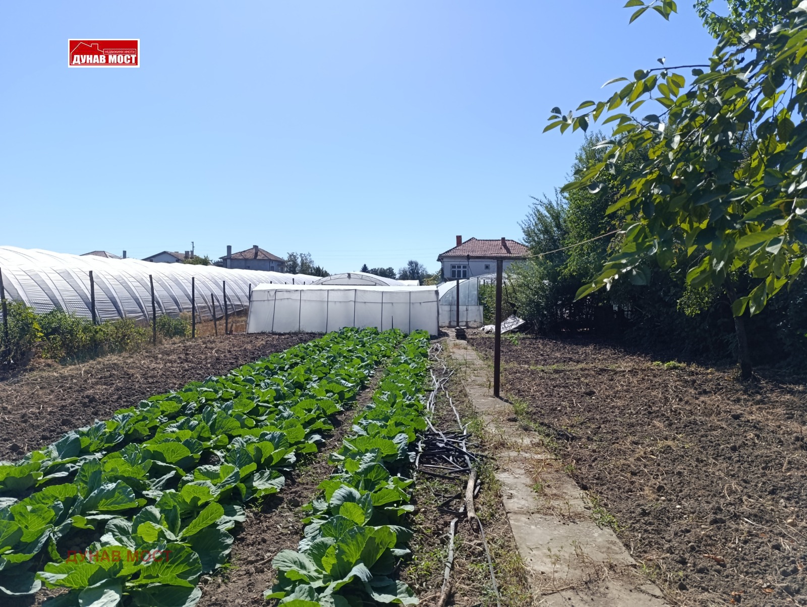 Продава КЪЩА, гр. Сливо поле, област Русе, снимка 5 - Къщи - 56041693