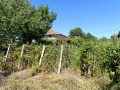 Продава  Къща област Русе , гр. Сливо поле , 60 кв.м | 82423269 - изображение [6]
