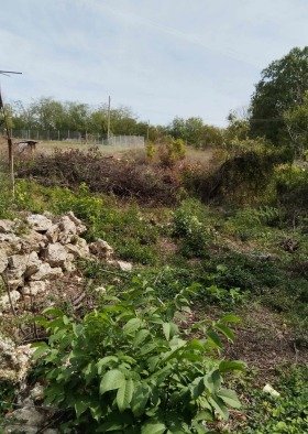 Parcelle Orechak, région Varna