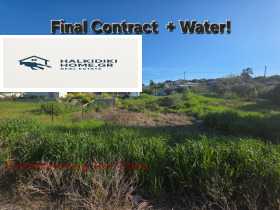 ����� ������� ������,���������, ������