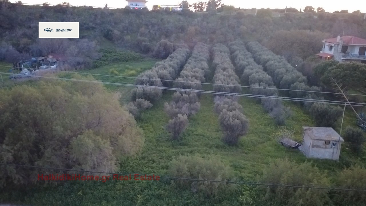 Продава ПАРЦЕЛ, Извън страната, област Извън страната, снимка 7 - Парцели - 54021171