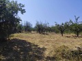 Продава ВИЛА, с. Драгойново, област Пловдив, снимка 5