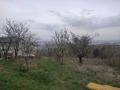 Продава ПАРЦЕЛ, град Варна, м-т Планова • 44000 € • 85002727 — Holmes.bg