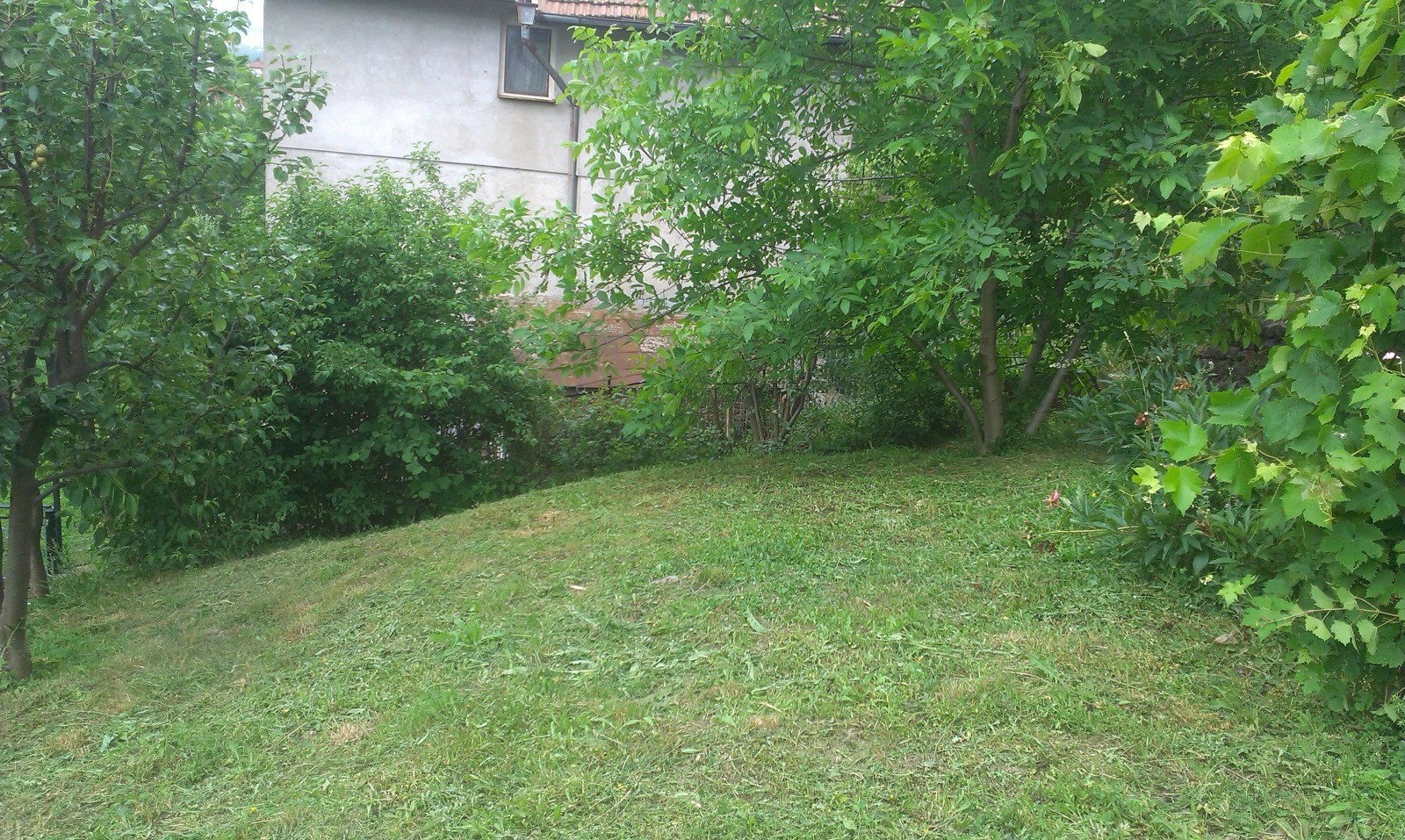 ������� ���� | Imot.bg � ����������� 8