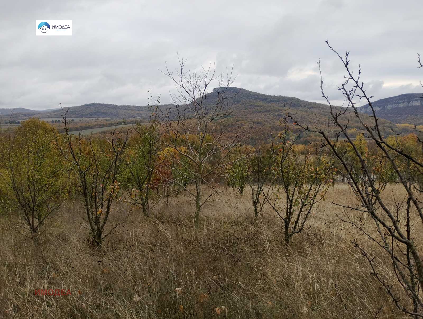 ������� ���� | Imot.bg � ����������� 2