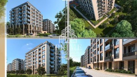 ����� ������� ����,���� ������, ������