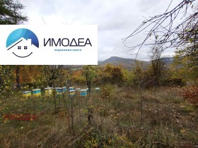 ������� ���� | Imot.bg � ����� ������ 3