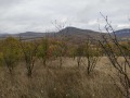 Продава ВИЛА, гр. Дряново, област Габрово, снимка 2
