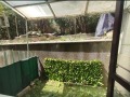 Продава  1-стаен град София , Горна баня , 30 кв.м | 75633345 - изображение [9]