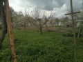 Продава КЪЩА, област Стара Загора, с. Ягода • 85000 € • 14762407 — Holmes.bg