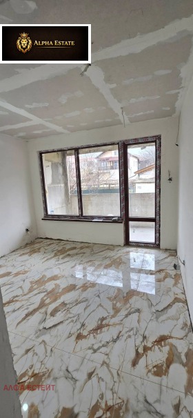 ����� ������� 2-�����,���� �����, ��������