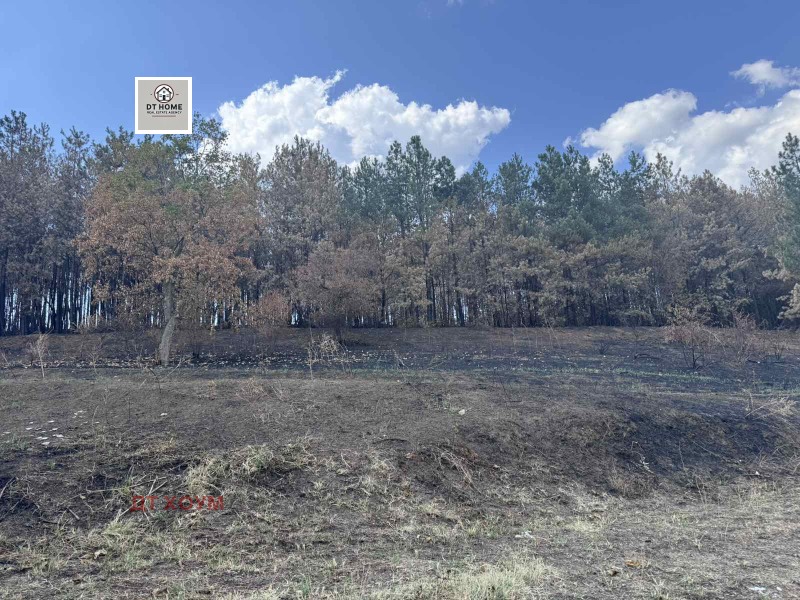 Продава ПАРЦЕЛ, с. Николово, област Русе, снимка 2 - Парцели - 52334004