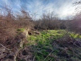 Parcelle Kilifarevo, région Veliko Tarnovo 1