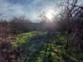 Продава ПАРЦЕЛ, гр. Килифарево, област Велико Търново, снимка 5