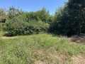 Продава  Къща област Варна , с. Круша , 135 кв.м | 54971189 - изображение [5]