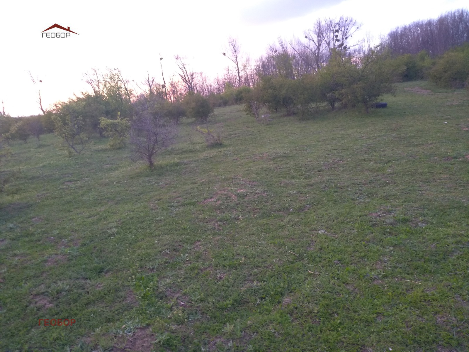 ������� ������ | Imot.bg � ����������� 1