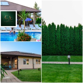 ������� ����� | Imot.bg � ����� ������ 8