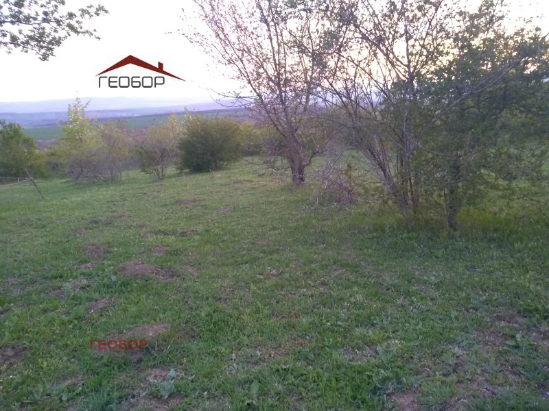 Продава ПАРЦЕЛ, с. Аврен, област Варна, снимка 2 - Парцели - 53207328