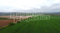 Продава  Парцел област София , с. Нови хан , 4865 кв.м | 43929401 - изображение [5]