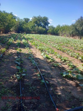 ����� ������� ����,�. ���������, ������ ����� ������>