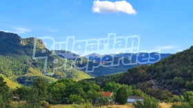 ����� ������� ������,�. ������, ������ �������