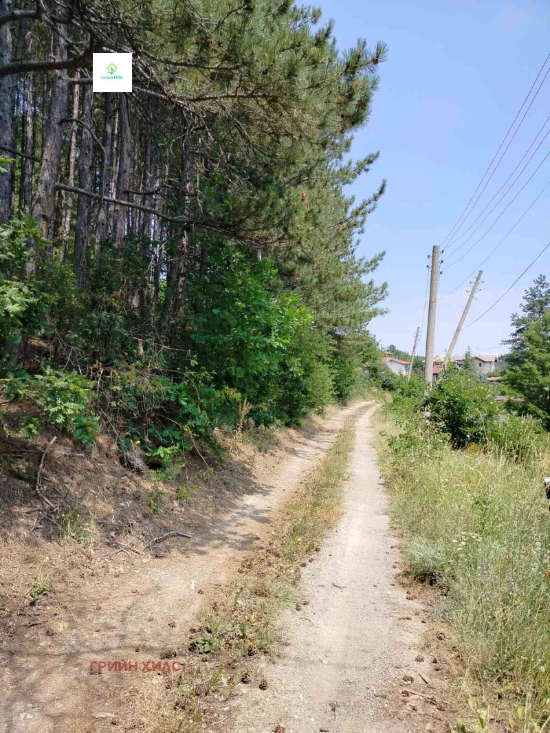 Eladó  Cselekmény régió Pernik , Dragicsevo , 2380 négyzetméter | 10082165 - kép [3]