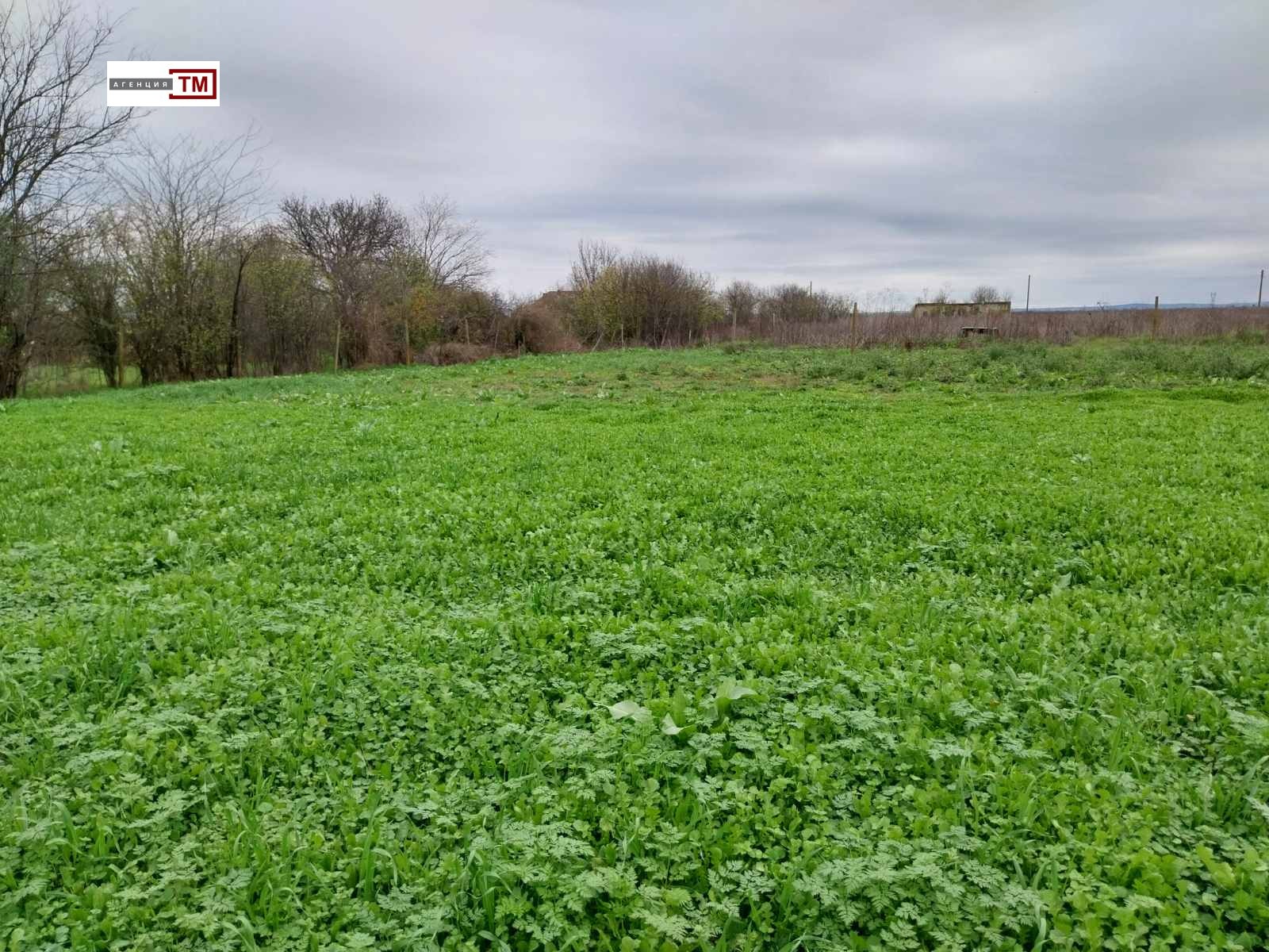 Продава КЪЩА, с. Трънково, област Стара Загора, снимка 3 - Къщи - 53680750