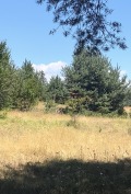 Продава ПАРЦЕЛ, с. Баня, област Благоевград, снимка 3