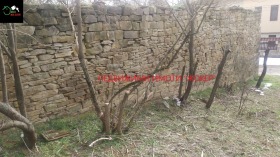 ������� ������ | Imot.bg � ����� ������ 11
