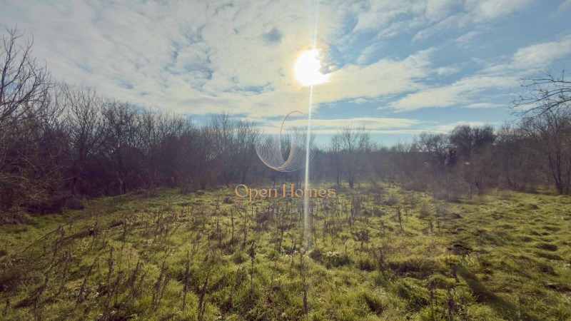 Продава ПАРЦЕЛ, с. Марково, област Стара Загора, снимка 6 - Парцели - 53166107