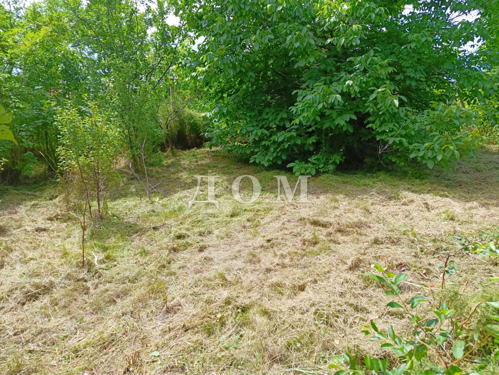 Продава КЪЩА, гр. Плиска, област Шумен, снимка 7 - Къщи - 55203805