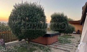 ������� ���� | Imot.bg � ����� ������ 6