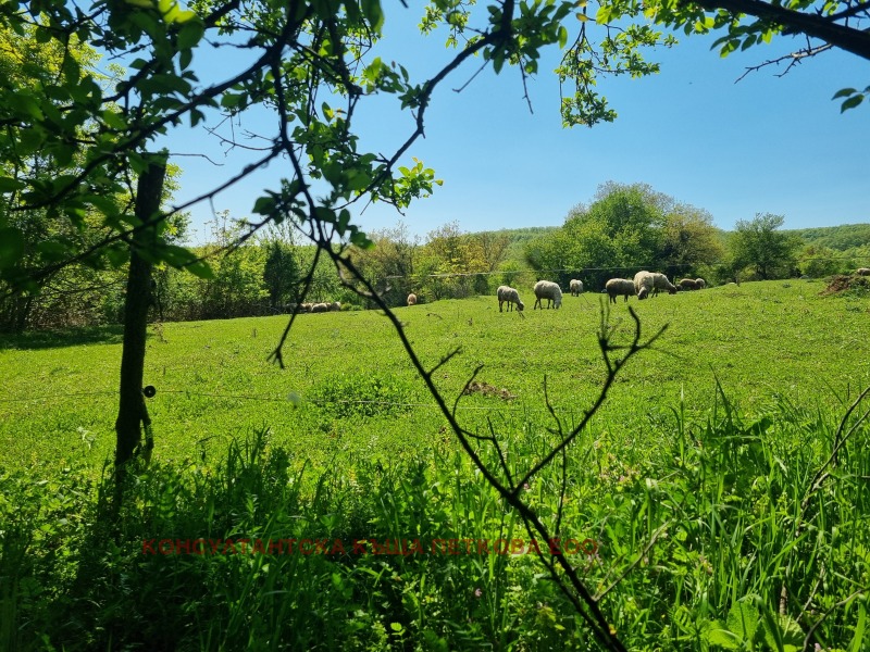 Til salg  Grund region Lovech , Kalenik , 4000 kvm | 82333846 - billede [2]